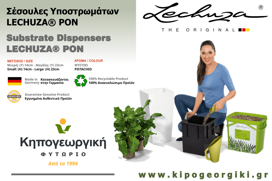 LECHUZA Σέσουλες PON